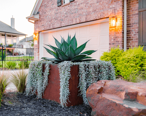 Landscape Enhancements - Agave Landscape Design