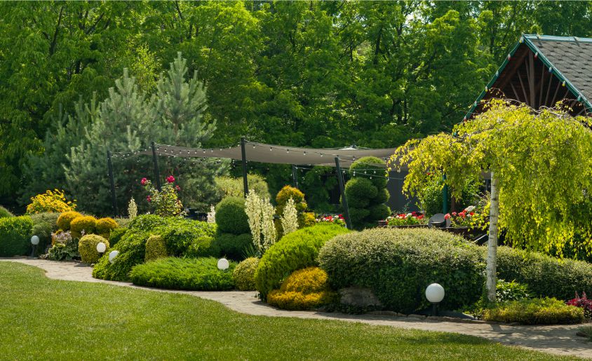 Landscape Enhancements-agaveld