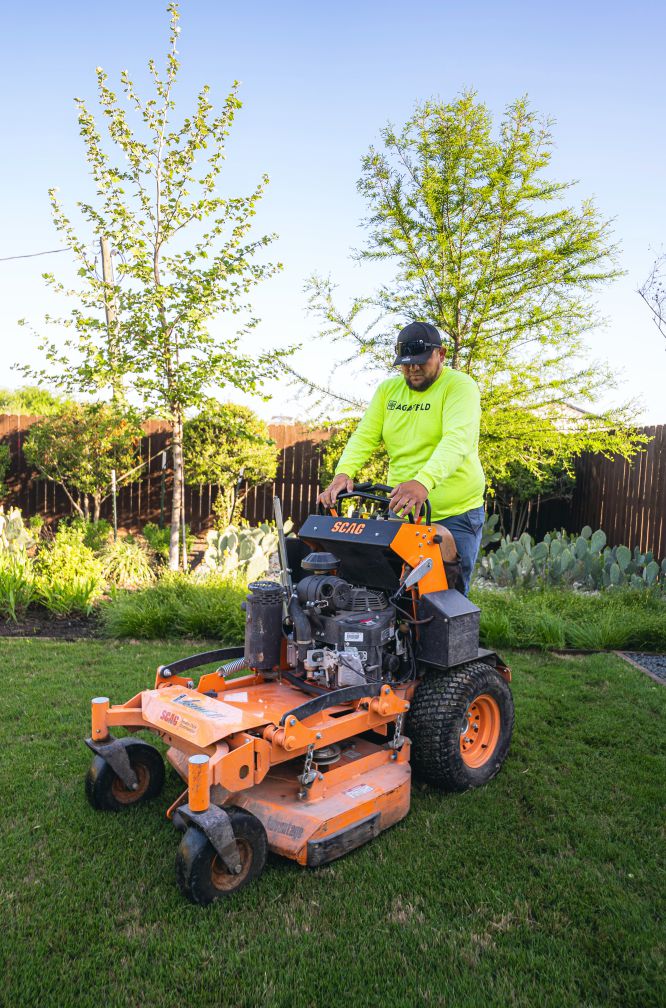 agave-Landscape Management 1 Our Services & Expertise