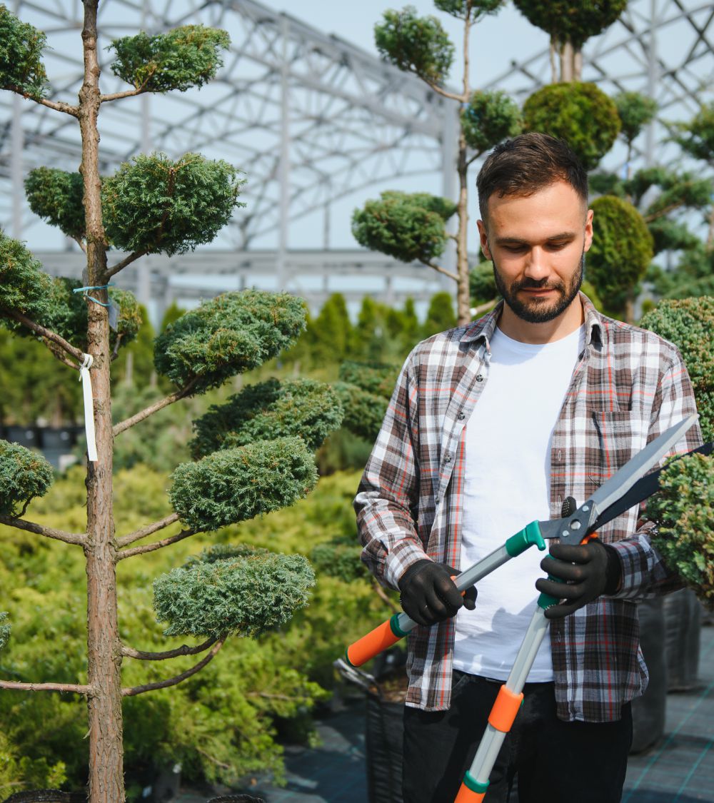 agave-Tree Pruning 1 Tree Pruning Matters