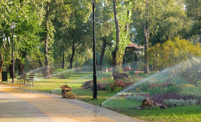 agave-rrigation Water Management