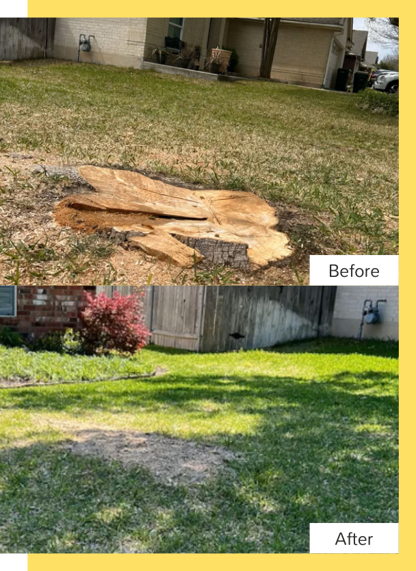 agave-Stump Grinding 2 why-choose-agave-updated