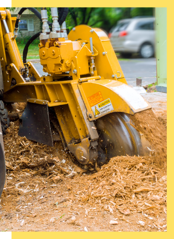 agave-Stump Grinding 2 agave-why choose agave